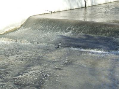 Прикрепленное изображение: 002.jpg